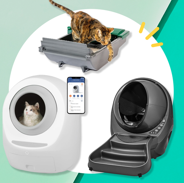 An application scenario or product detail of best self cleaning cat litter boxes - Image 2