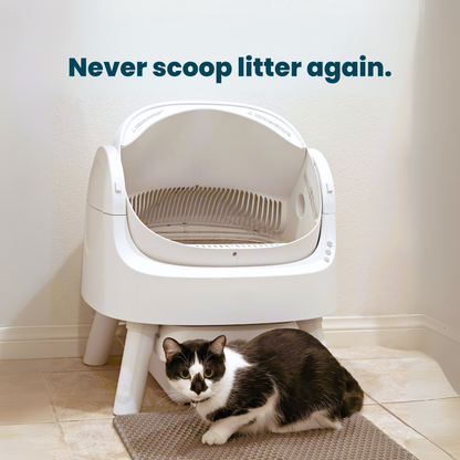 An application scenario or product detail of best self cleaning cat litter boxes - Image 8