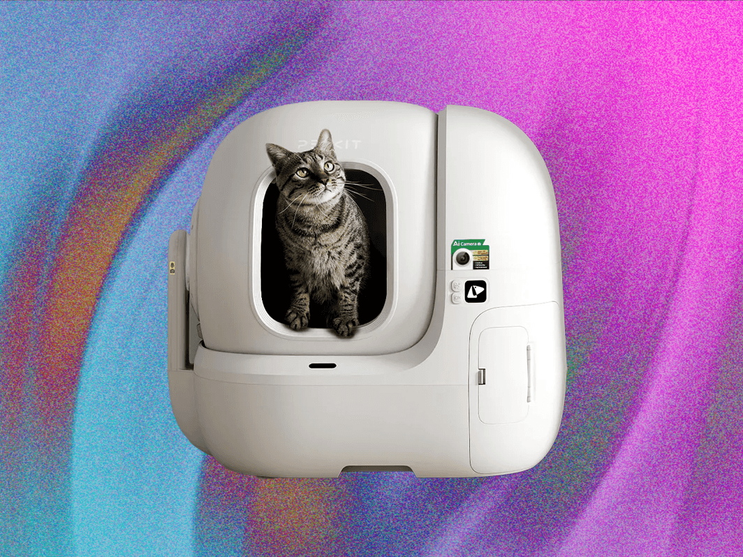 An application scenario or product detail of best self cleaning cat litter boxes - Image 14