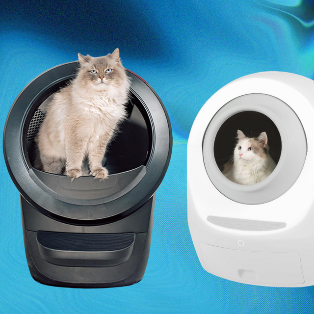 An application scenario or product detail of best self cleaning cat litter boxes - Image 16