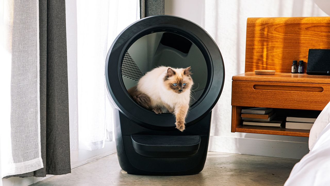 An application scenario or product detail of best self cleaning cat litter boxes - Image 19