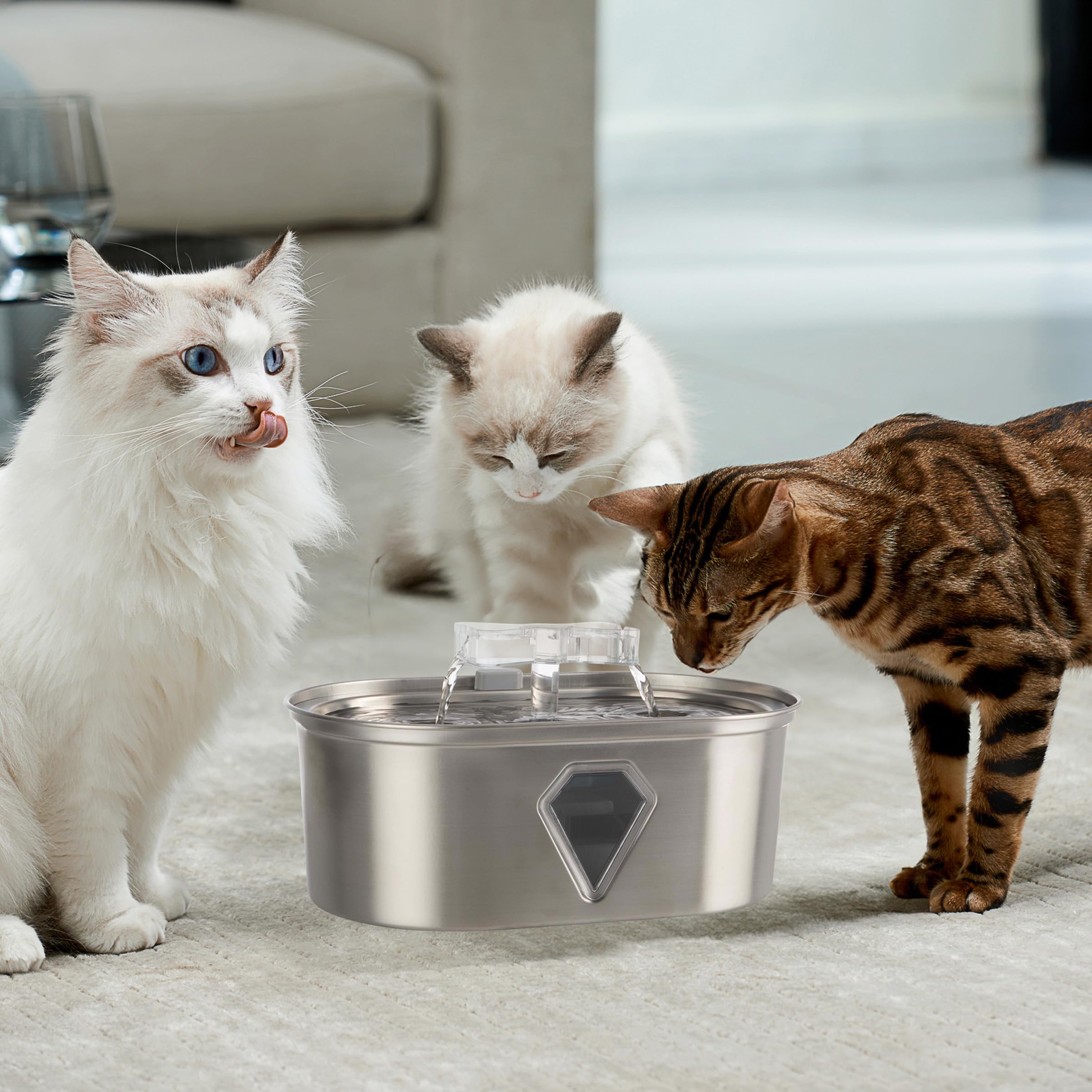 An application scenario or product detail of best stainless steel water fountain for cats - Image 12