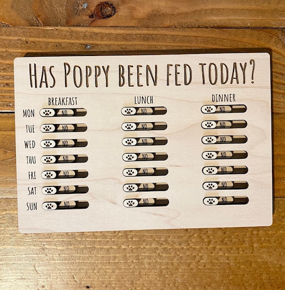 An application scenario or product detail of best time of day to feed cats - Image 20