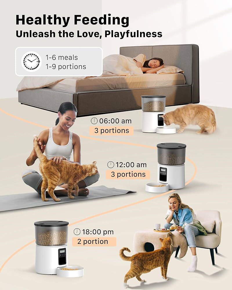 An application scenario or product detail of best time to feed a cat - Image 8