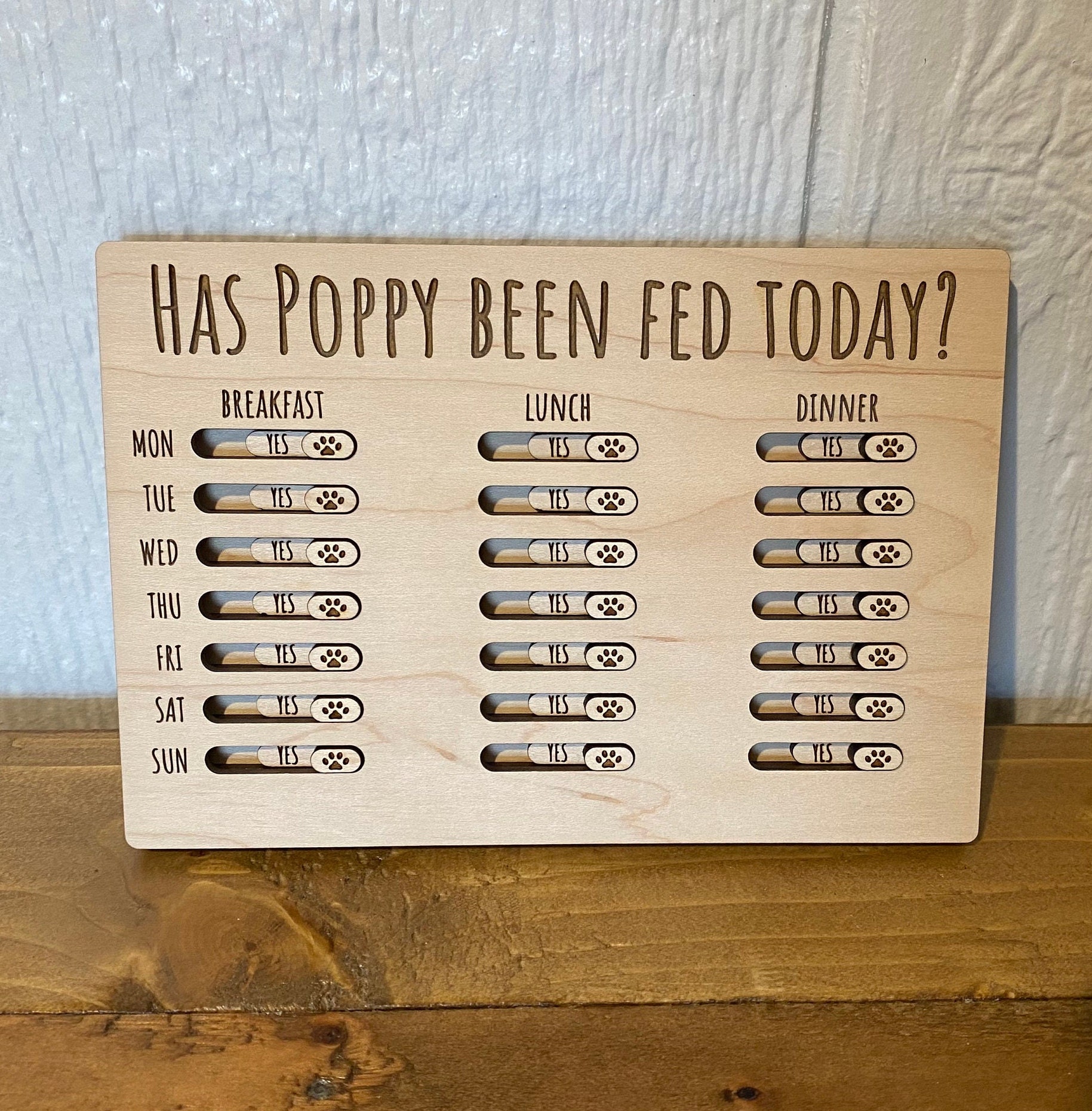 An application scenario or product detail of best time to feed a cat - Image 9