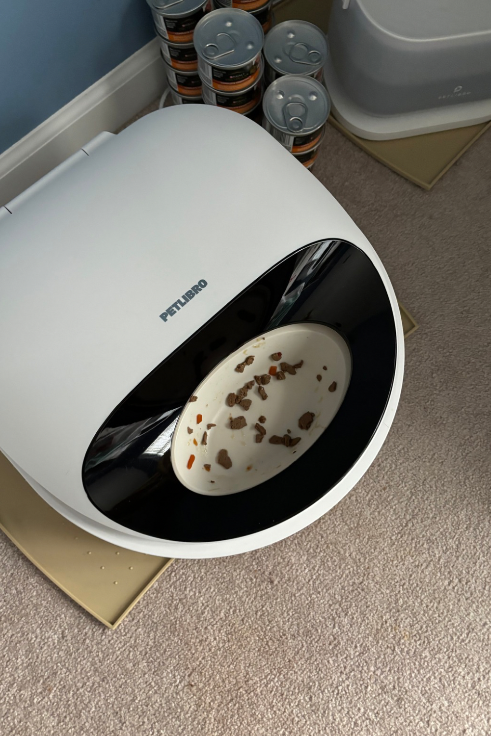 An application scenario or product detail of best wet food feeder for cats - Image 18