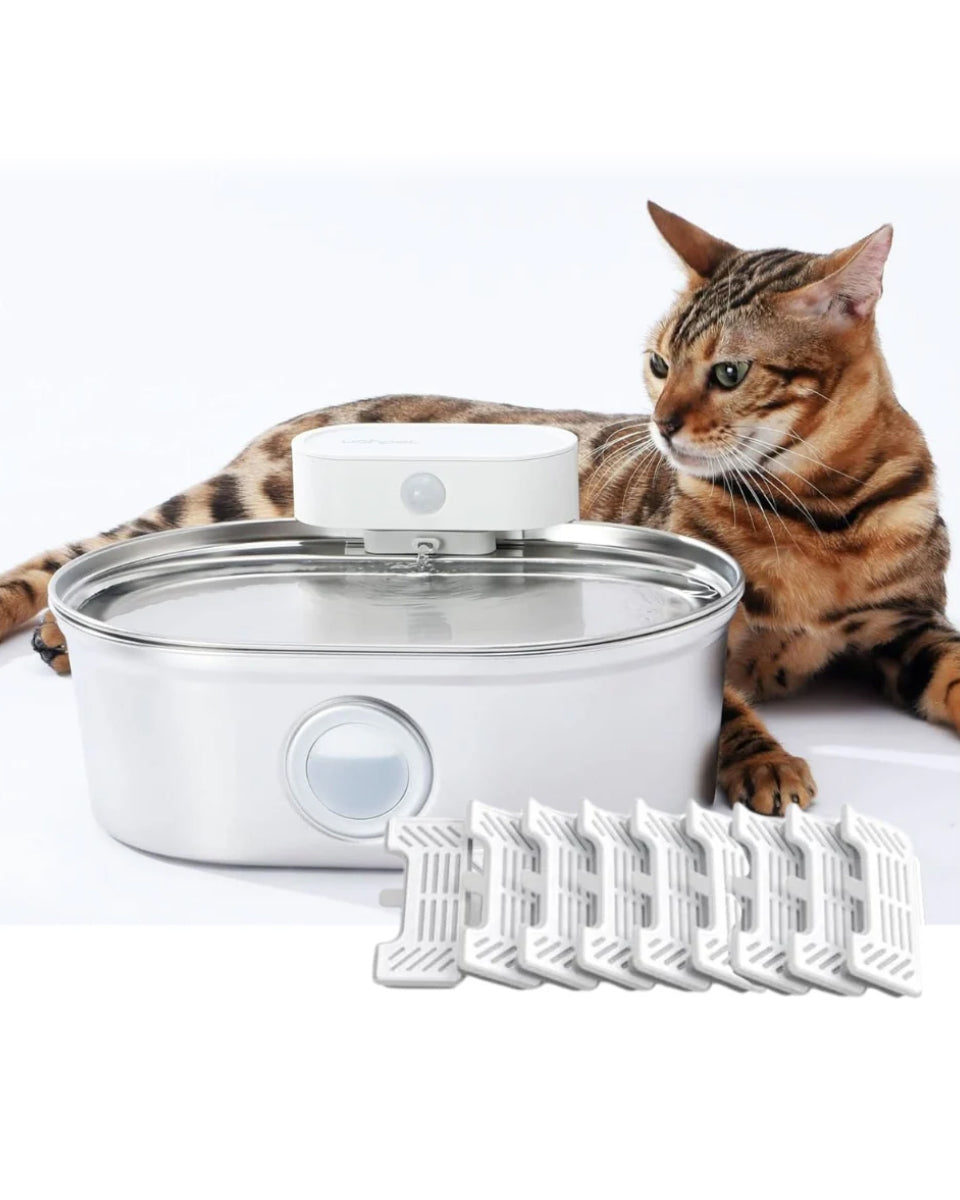 An application scenario or product detail of best wireless cat water fountain - Image 16