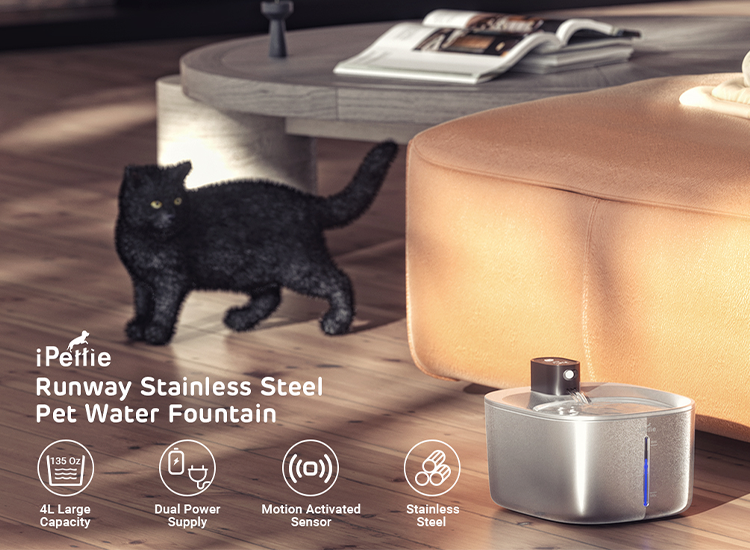 An application scenario or product detail of best wireless cat water fountain - Image 21