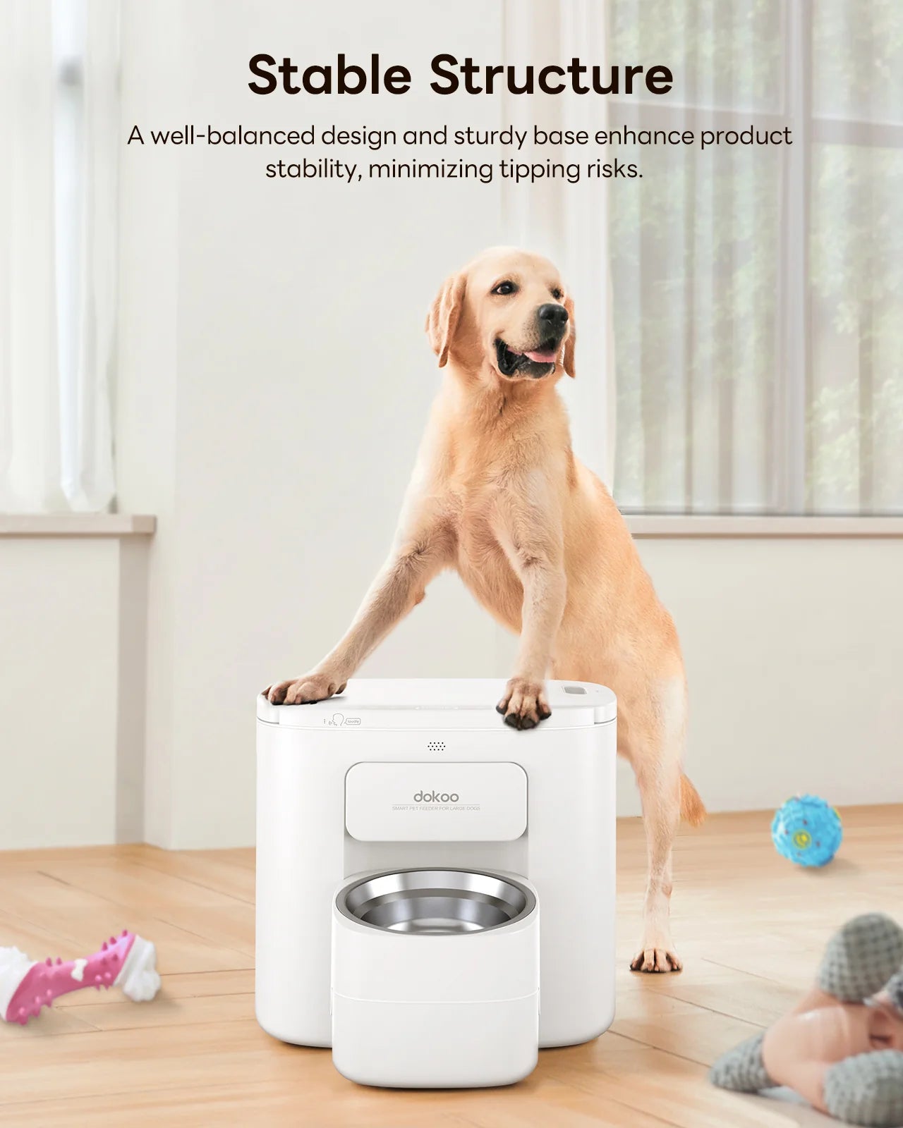 An application scenario or product detail of big automatic dog feeder - Image 5