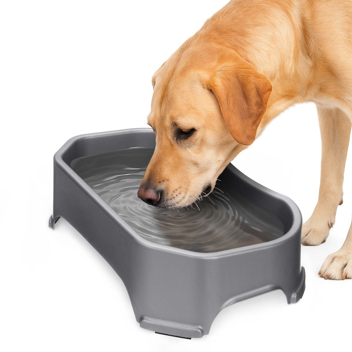 An application scenario or product detail of big water bowl for dogs - Image 4