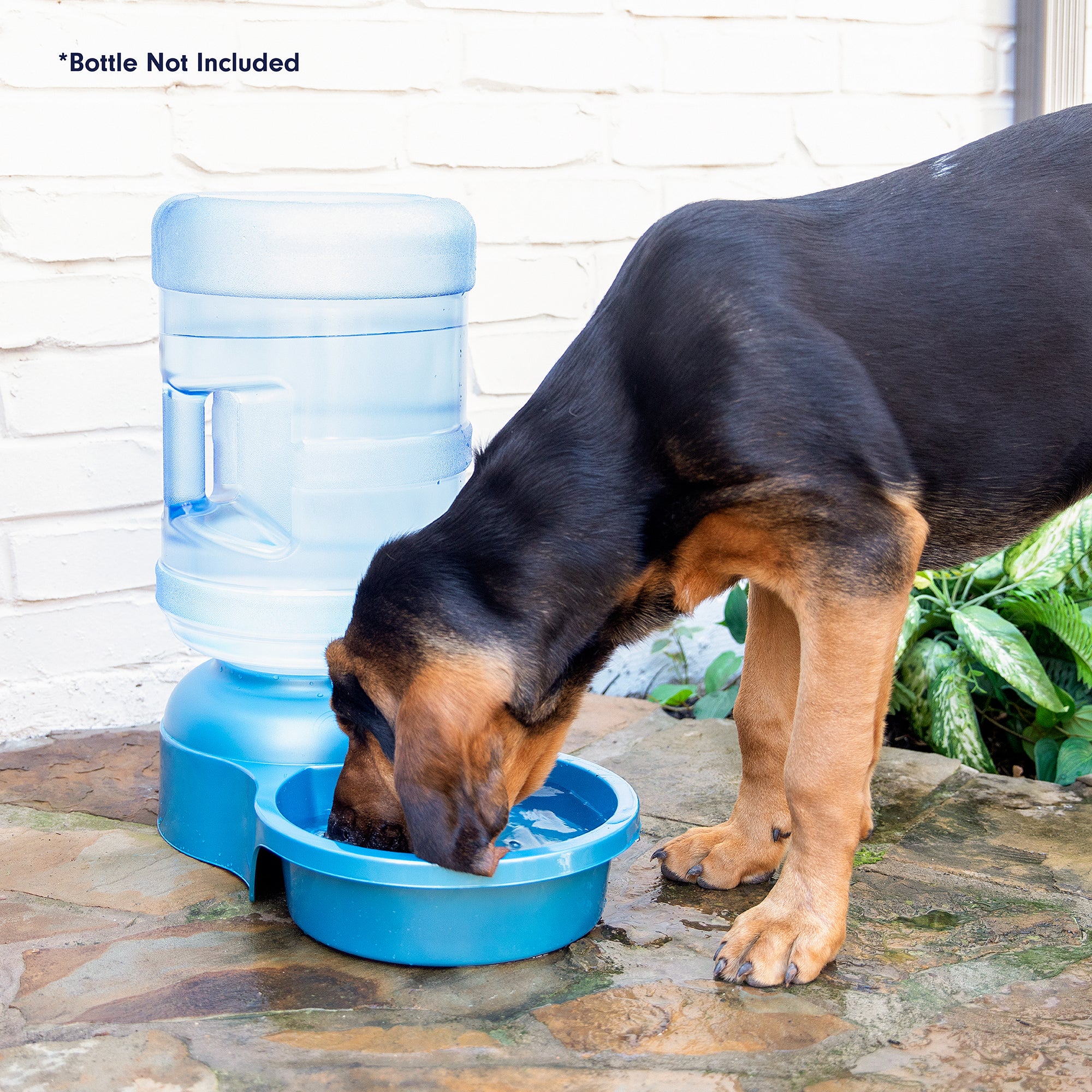 An application scenario or product detail of big water bowl for dogs - Image 8