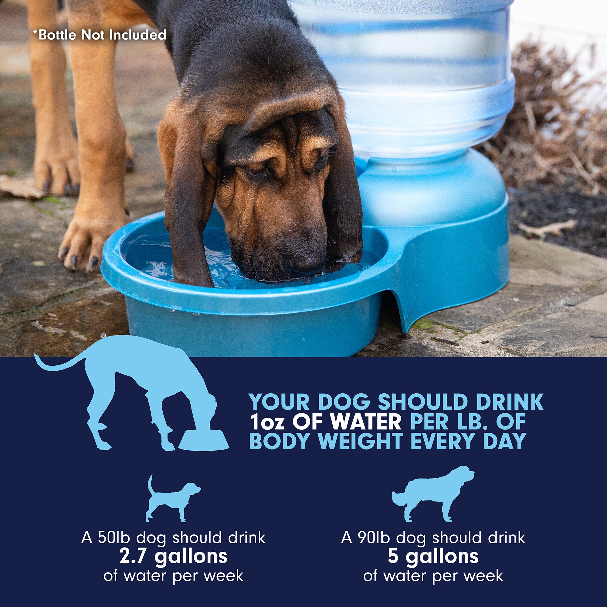 An application scenario or product detail of big water bowl for dogs - Image 17