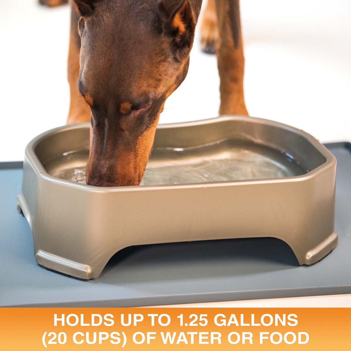 An application scenario or product detail of big water bowl for dogs - Image 22