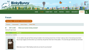 Binky Bunny - Pet Care Essentials