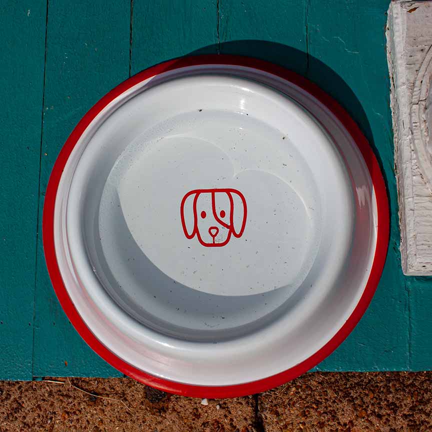 An application scenario or product detail of biofilm dog bowl - Image 17