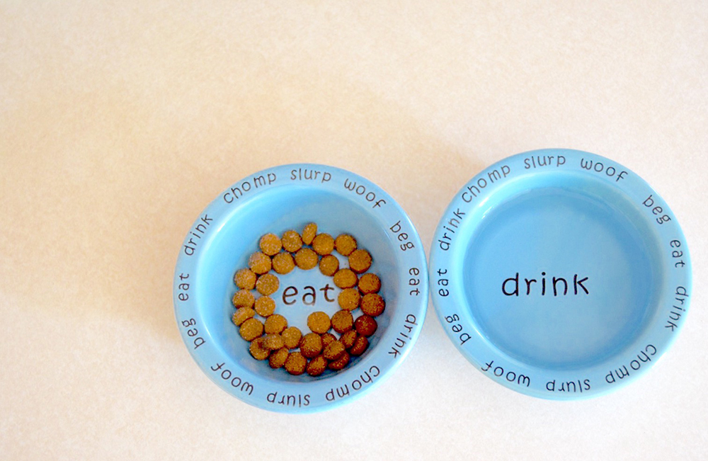 An application scenario or product detail of biofilm dog bowl - Image 19