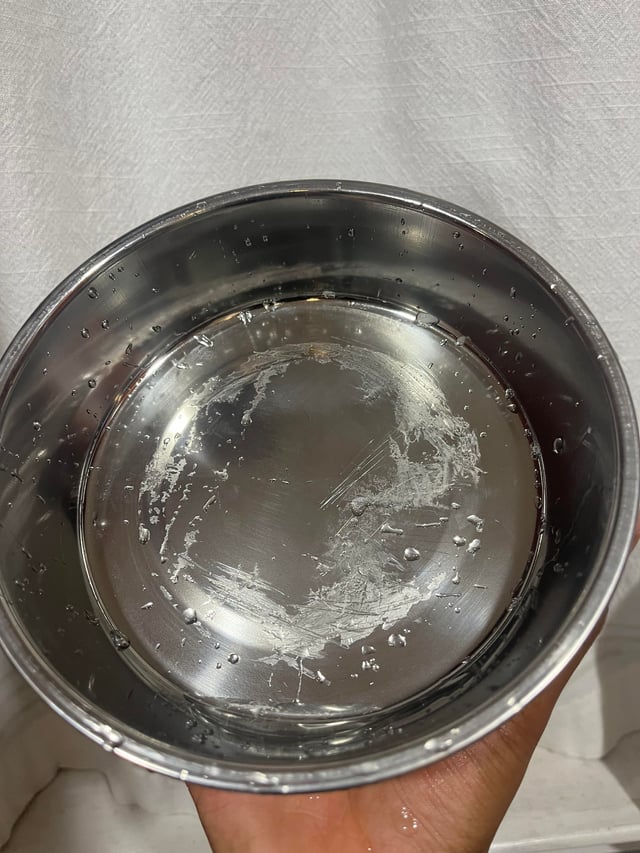 An application scenario or product detail of biofilm dog bowl - Image 22