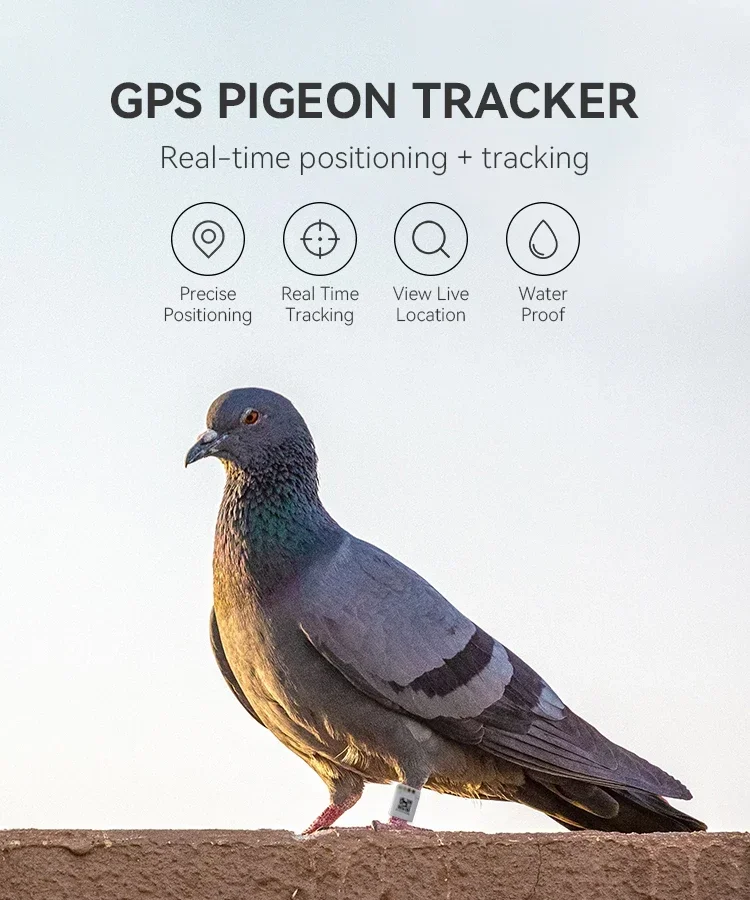 An application scenario or product detail of bird gps tracker - Image 3