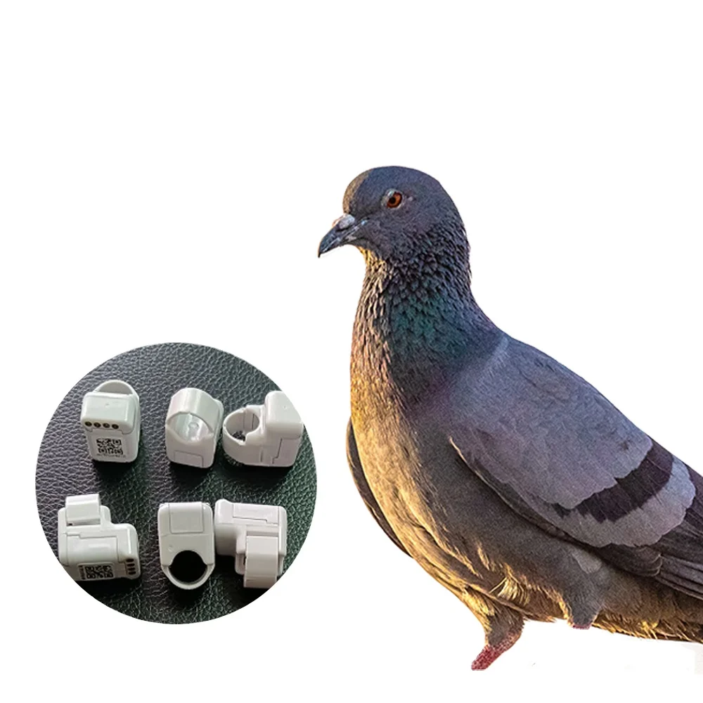 An application scenario or product detail of bird gps tracker - Image 5