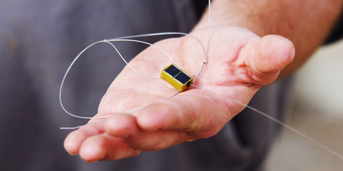 An application scenario or product detail of bird gps tracker - Image 6