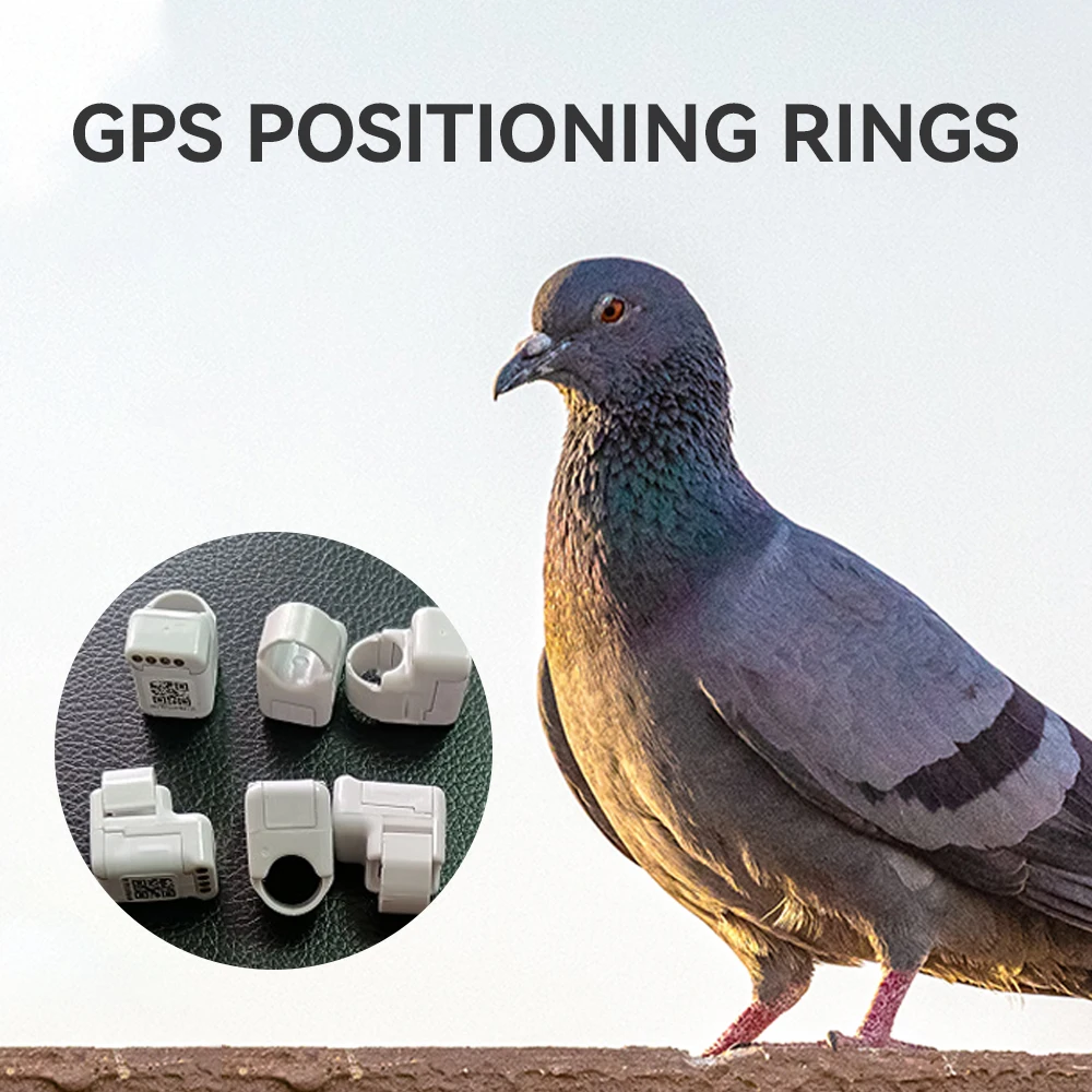 An application scenario or product detail of bird gps tracker - Image 10
