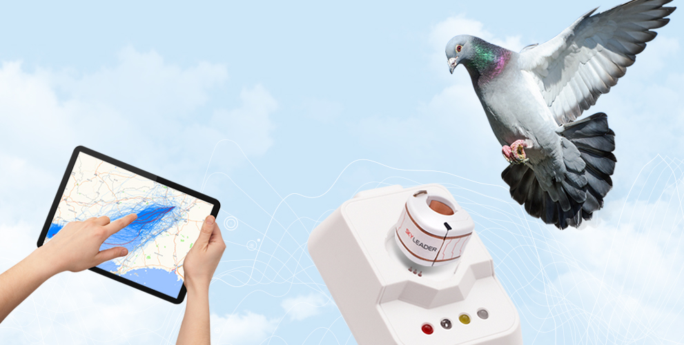 An application scenario or product detail of bird gps tracker - Image 15