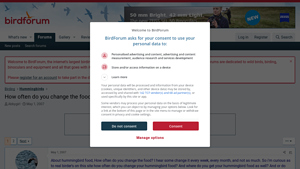 BirdForum - Hummingbird Food Guide