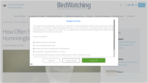 Birdwatching Daily - Hummingbird Feeder Care