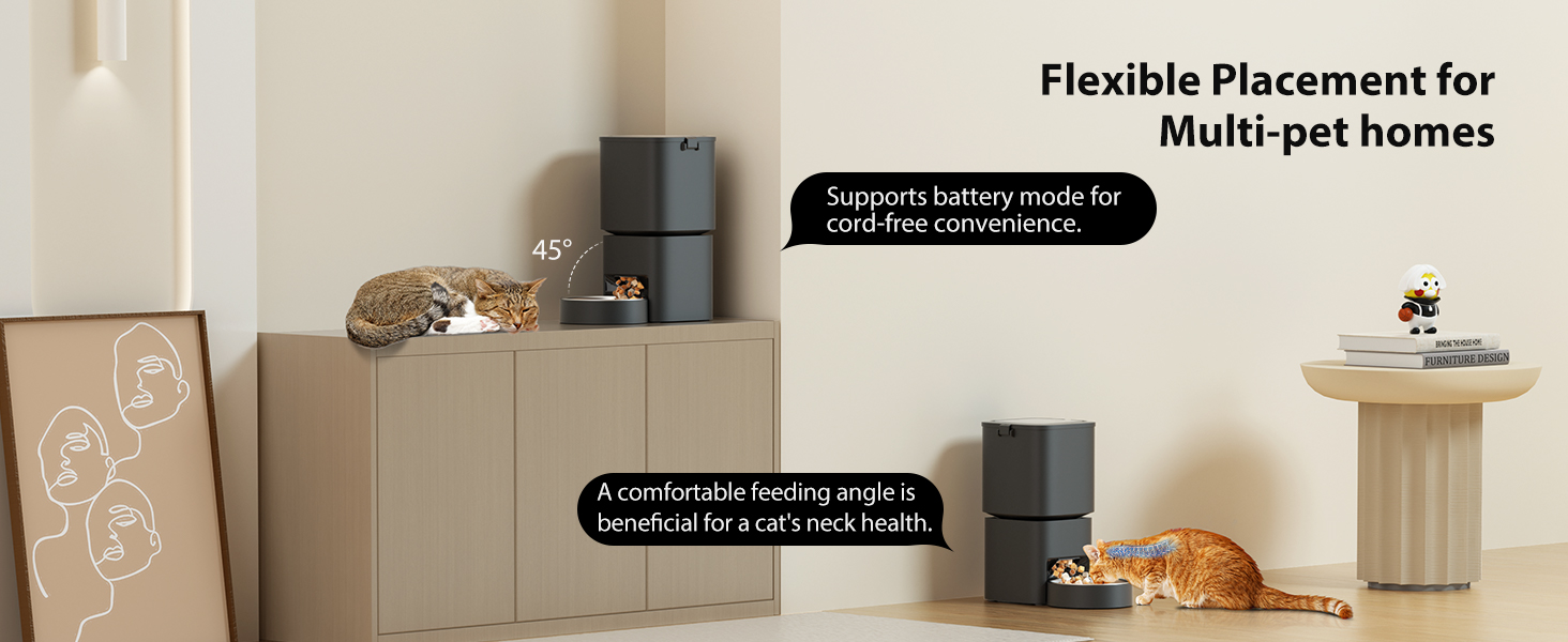 Black Pawbilt 5L Smart Pet Feeder Image