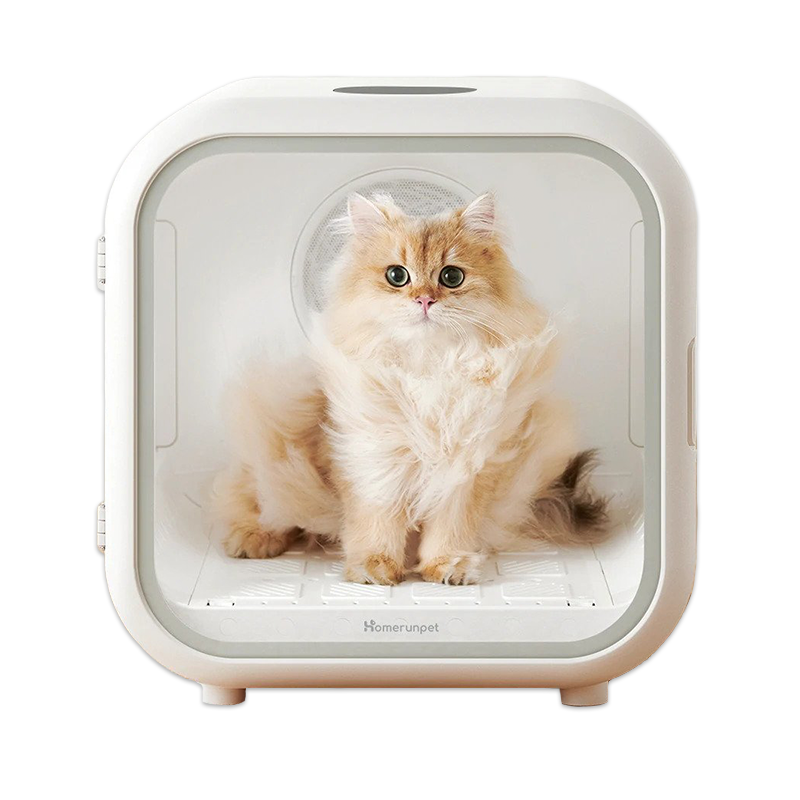 An application scenario or product detail of blow dry cat - Image 9
