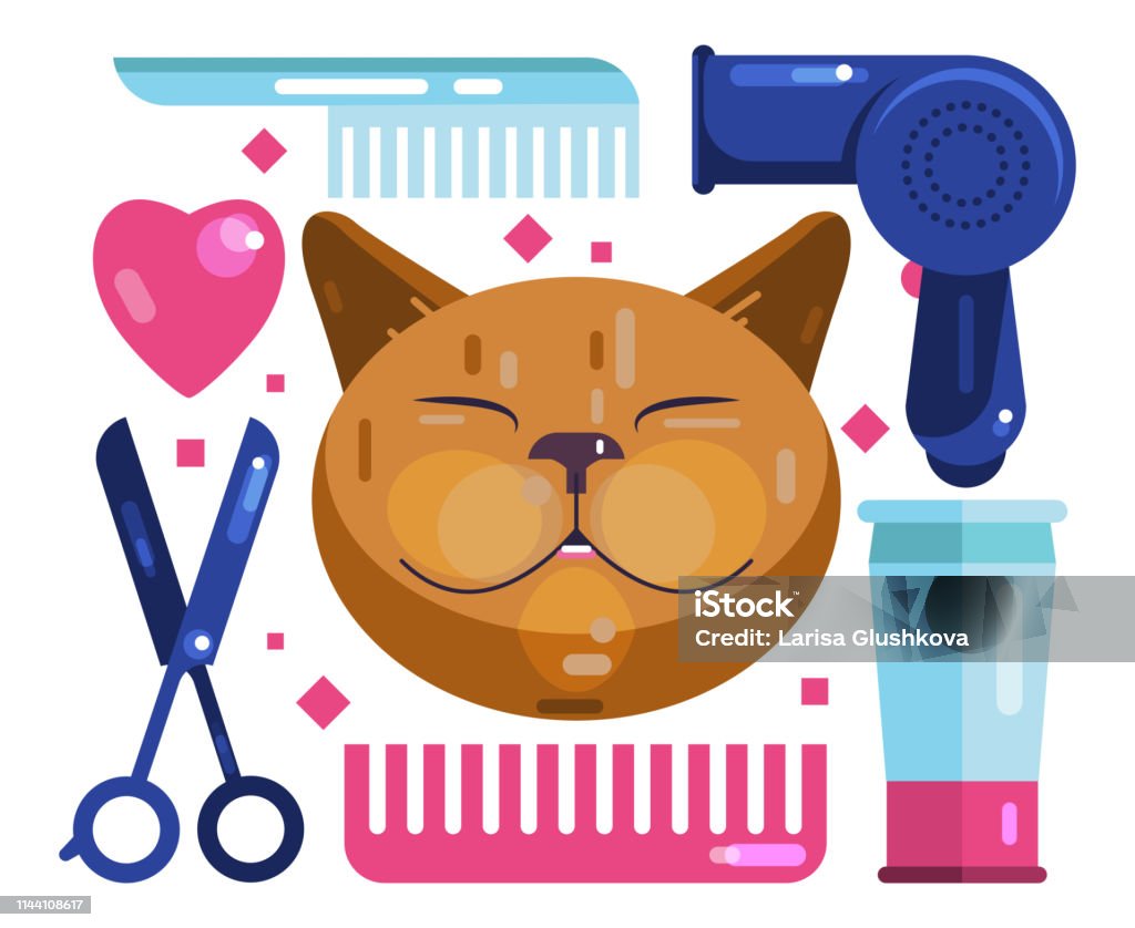 An application scenario or product detail of blow dry cat - Image 14