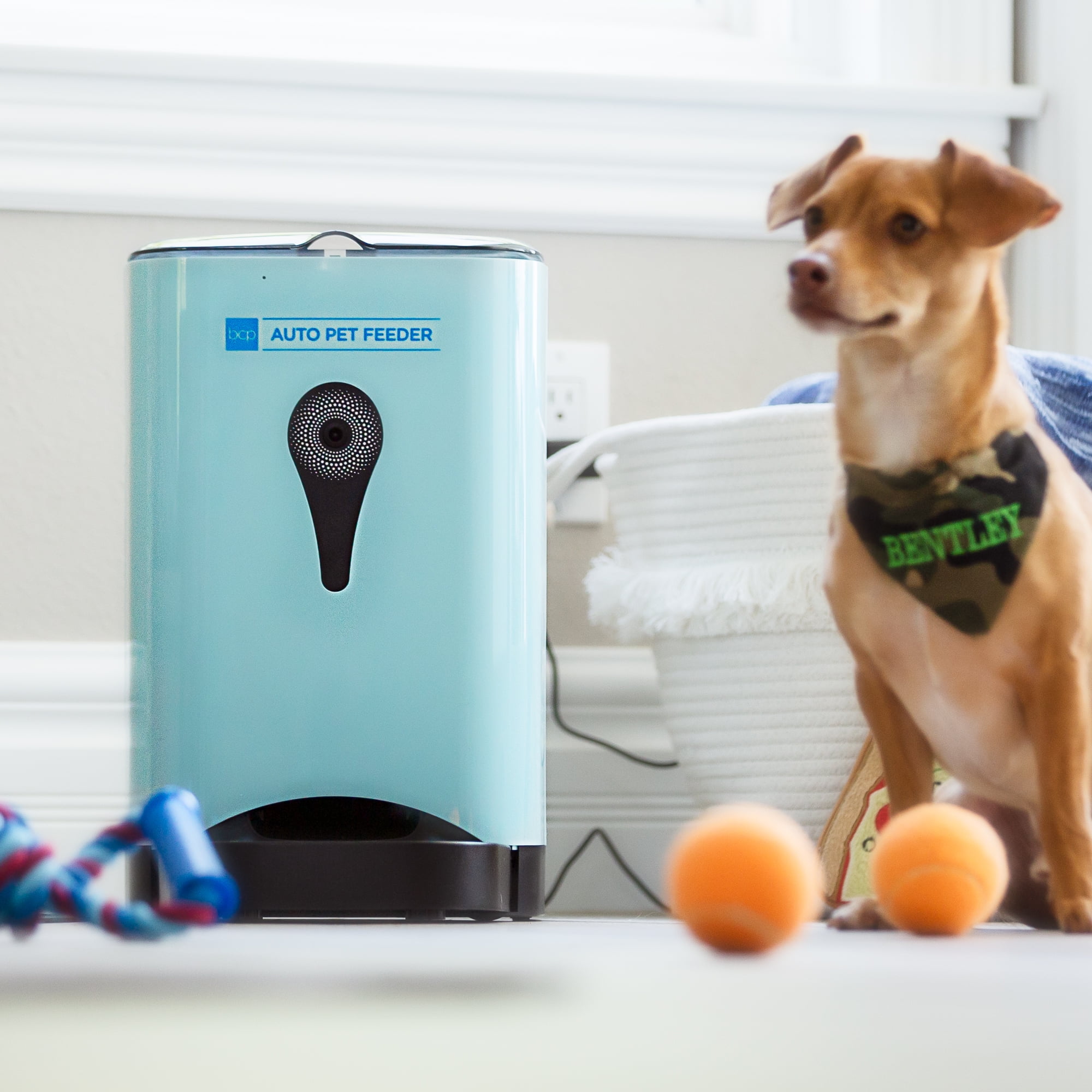 An application scenario or product detail of bluetooth dog feeder - Image 13