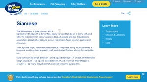 Bow Wow Insurance - Siamese Cat Breed Profile