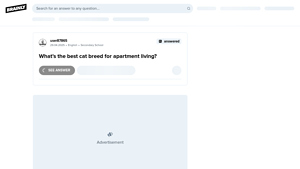 Brainly - Popular Cat Breeds