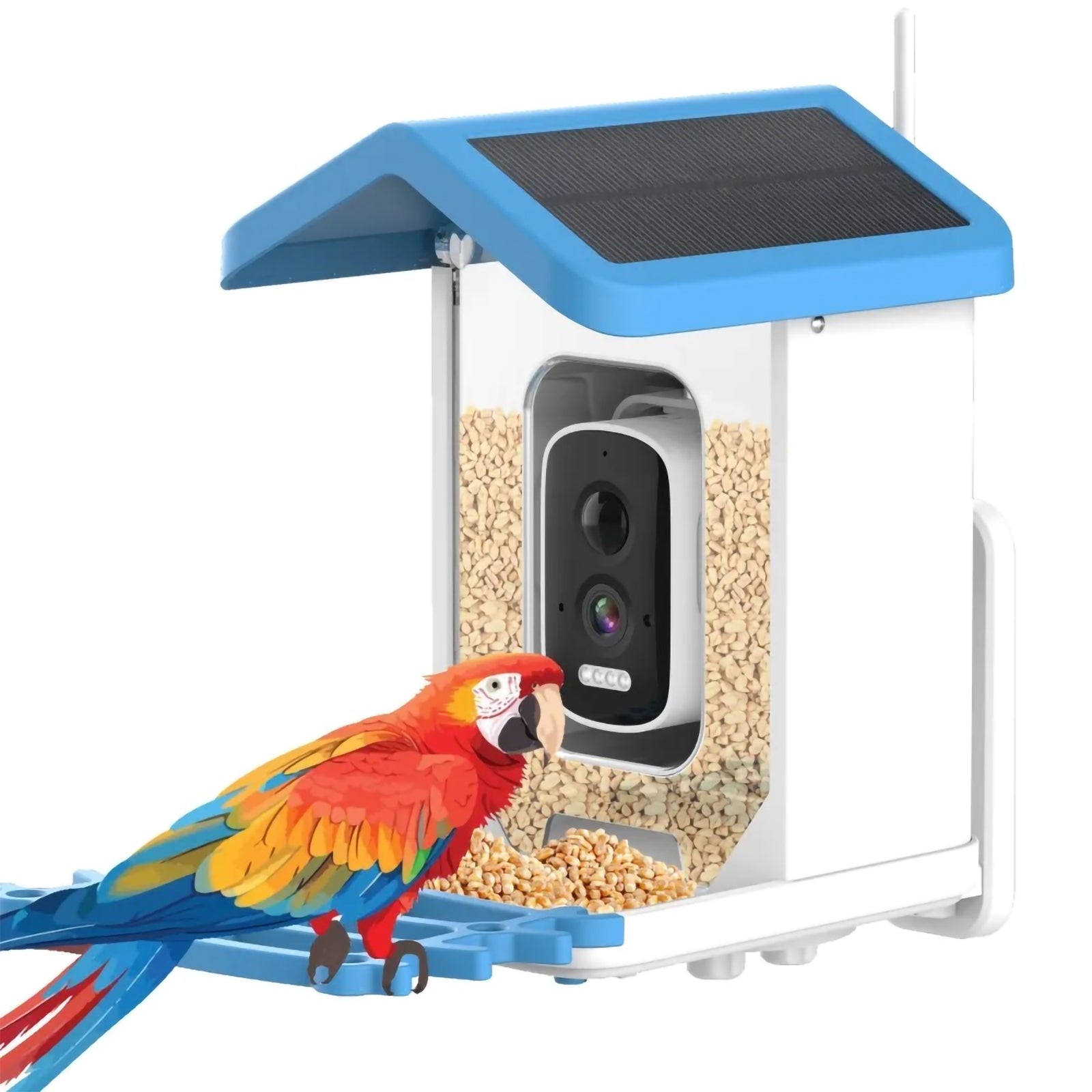 An application scenario or product detail of brookstone automatic pet feeder - Image 13