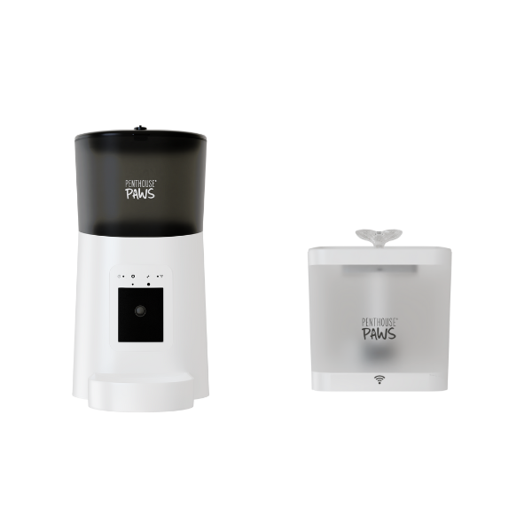 An application scenario or product detail of brookstone automatic pet feeder - Image 19