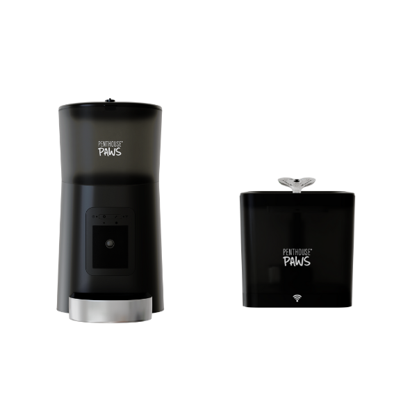 Featured image for the brookstone automatic pet feeder guide