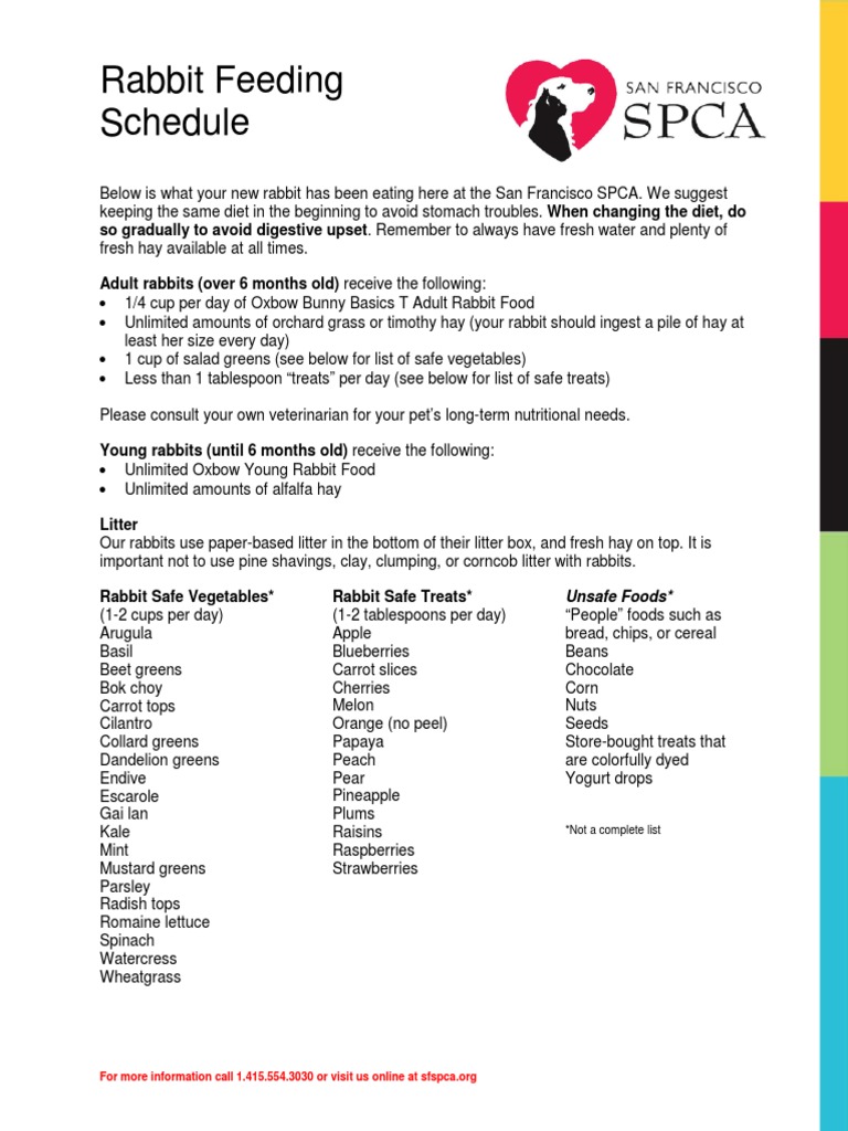 An application scenario or product detail of bunny feeding schedule - Image 11