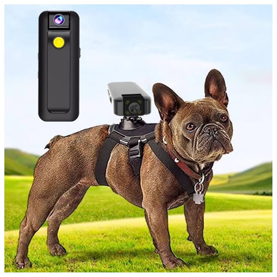 An application scenario or product detail of camera collar for dogs - Image 3