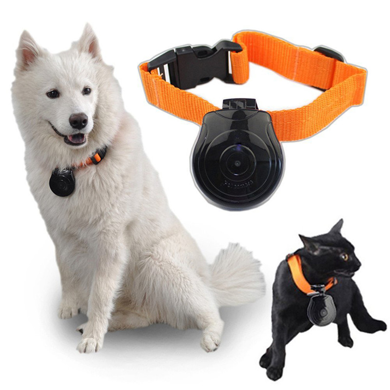 An application scenario or product detail of camera collar for dogs - Image 8