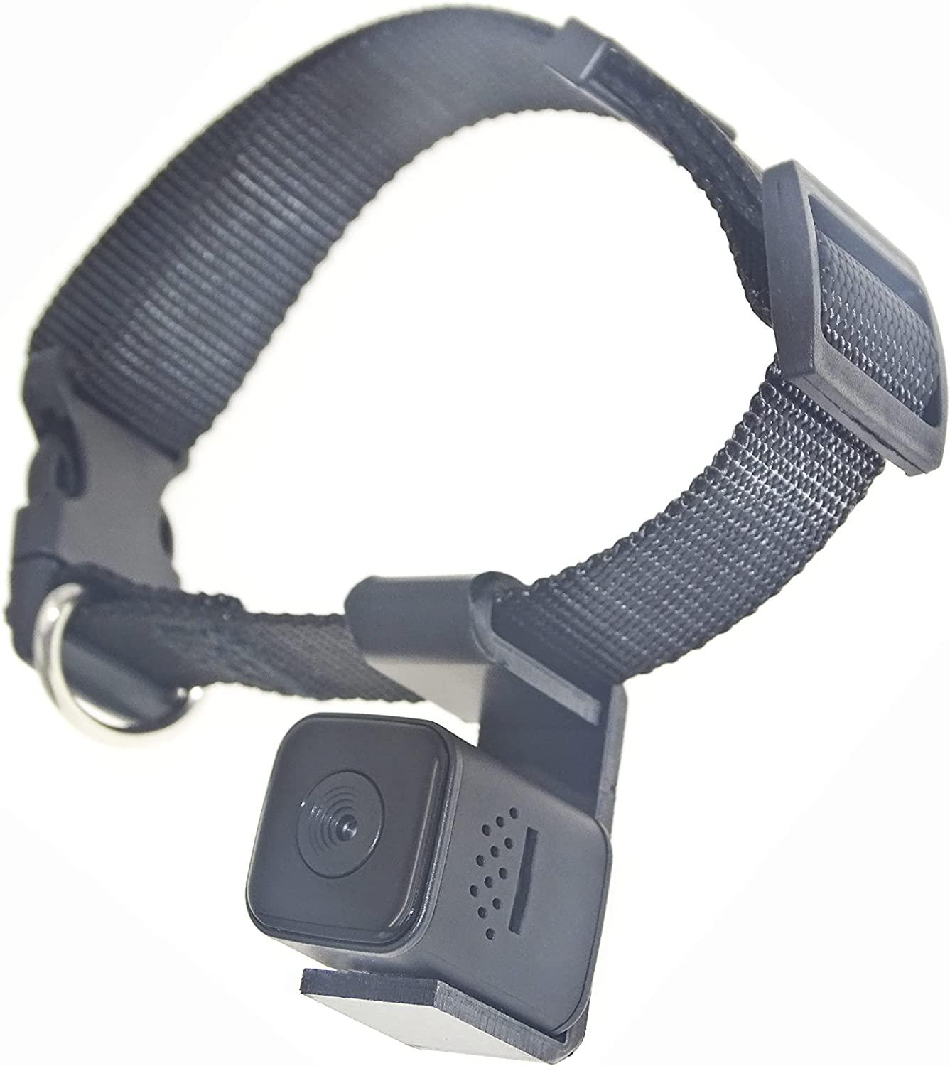 An application scenario or product detail of camera collar for dogs - Image 9