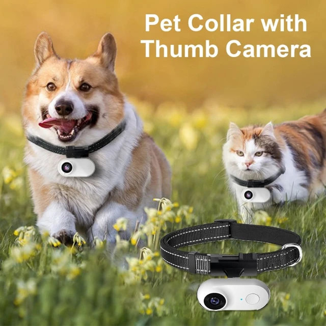 An application scenario or product detail of camera collar for dogs - Image 17
