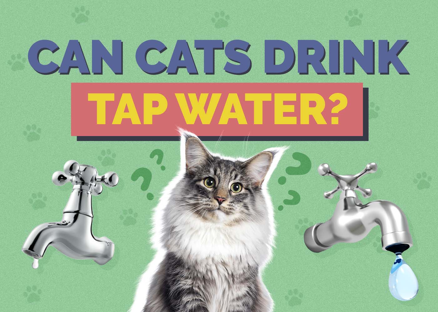 An application scenario or product detail of can cats have ice water - Image 18