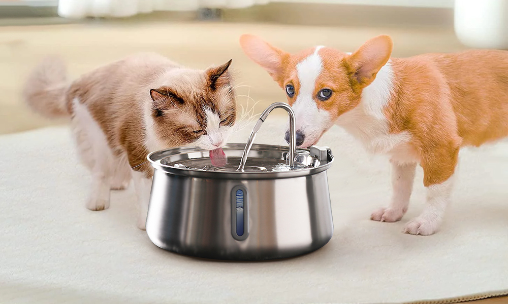 An application scenario or product detail of can dogs and cats share water - Image 14