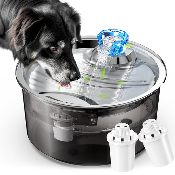 An application scenario or product detail of can dogs and cats share water - Image 15