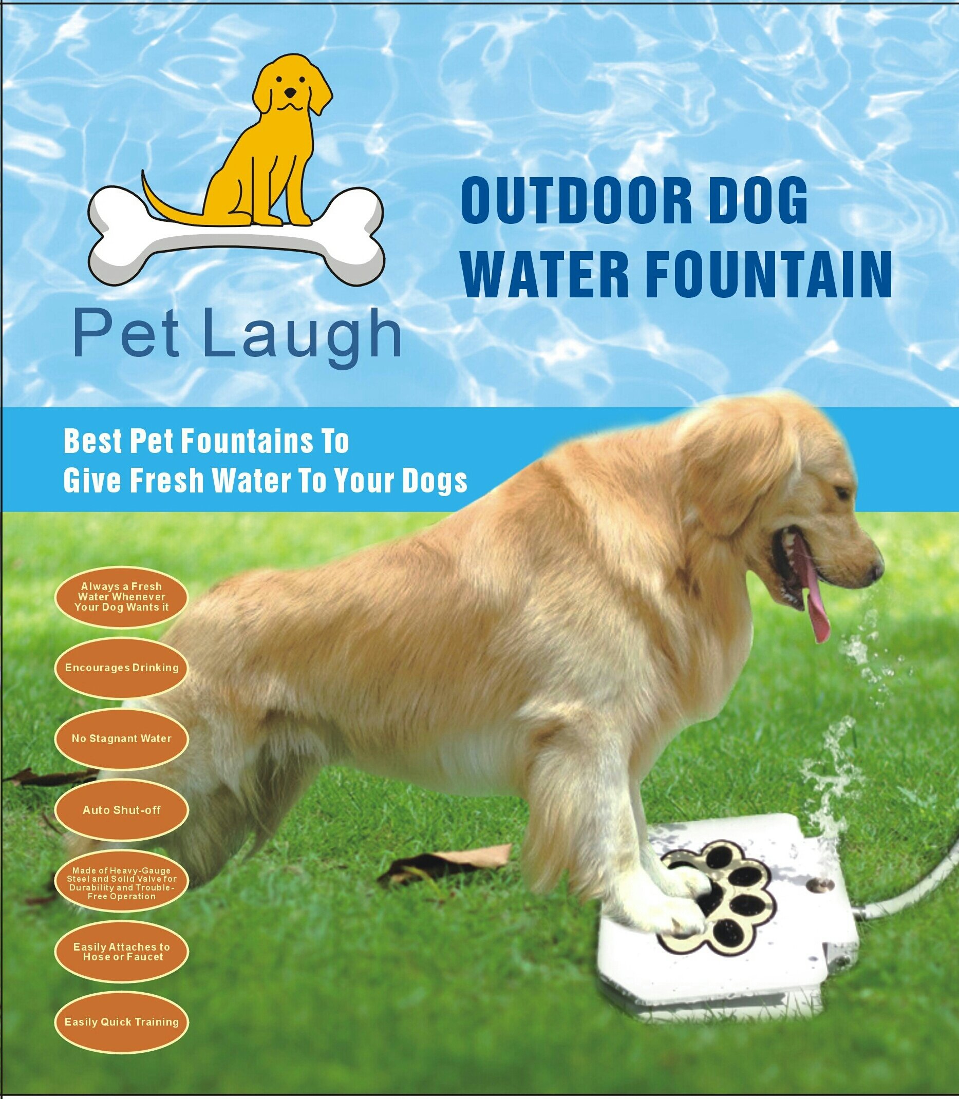 An application scenario or product detail of can dogs drink cold water - Image 16