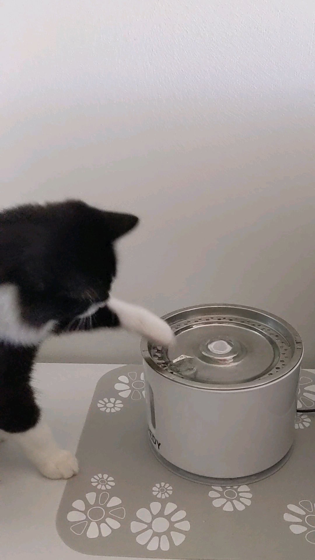 An application scenario or product detail of can i put ice in my cats water - Image 4