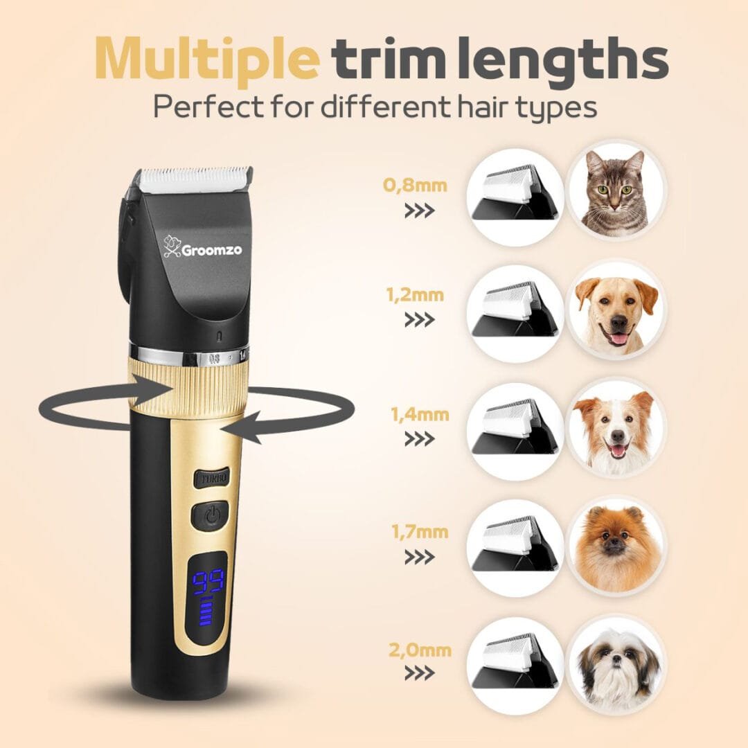 An application scenario or product detail of can i use hair clippers on my dog - Image 14
