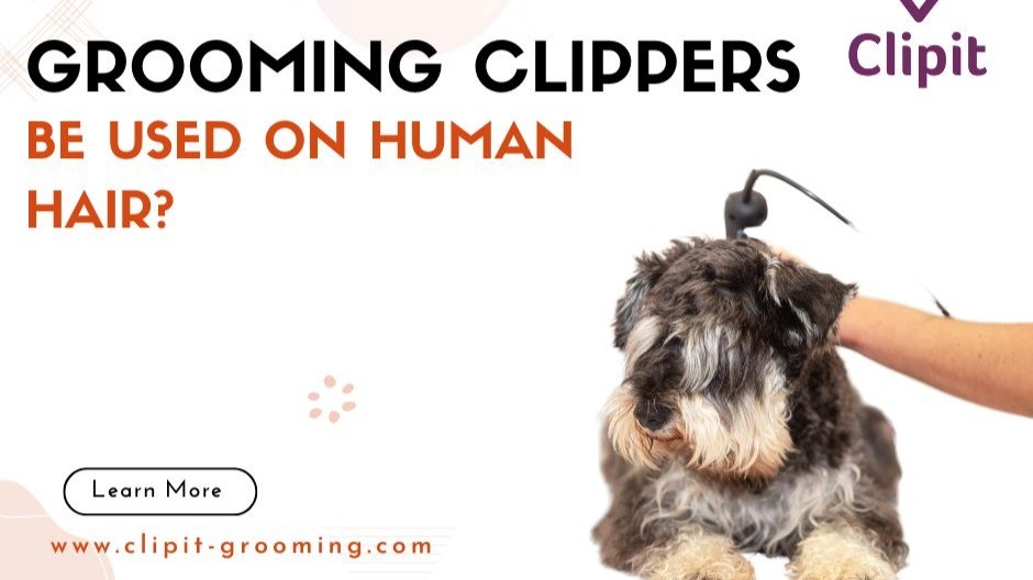 An application scenario or product detail of can i use hair clippers on my dog - Image 17