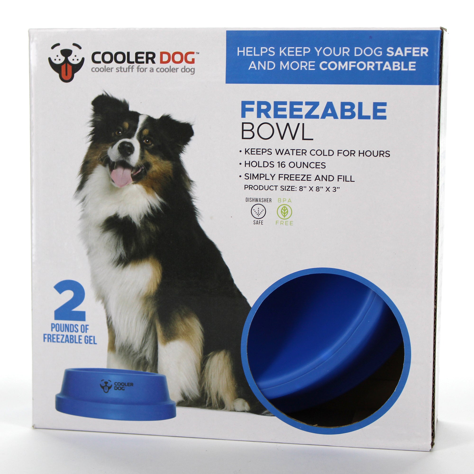 An application scenario or product detail of can you give a dog cold water - Image 18